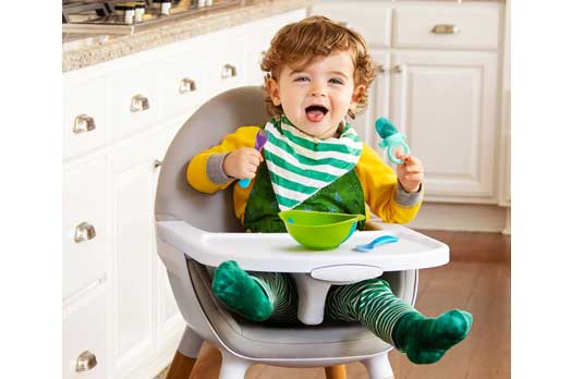 توری میوه خوری نوزاد مادرکر مدل Fresh Food Feeder